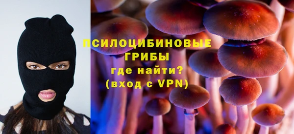 a pvp Осинники
