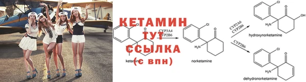 гидра Баксан