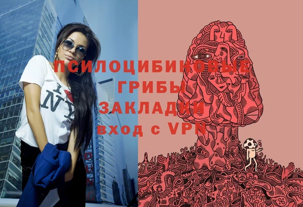 гидра Баксан