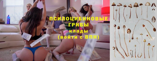мдпв Балабаново