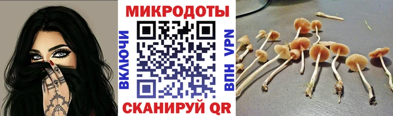 Галлюциногенные грибы ЛСД  Балтийск 