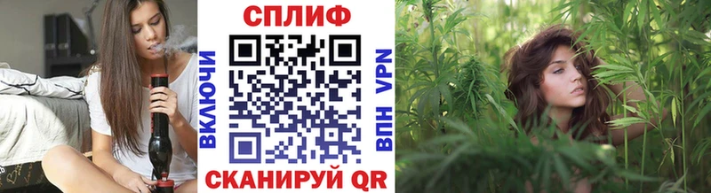 наркота  Балтийск  Канабис тримм 